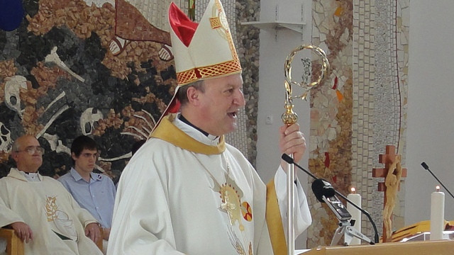 Škof Jamnik pri sveti maši (foto: Matjaž Merljak)