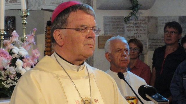 Višarje 2014, škof Stanislav Lipovšek (foto: Matjaž Merljak)