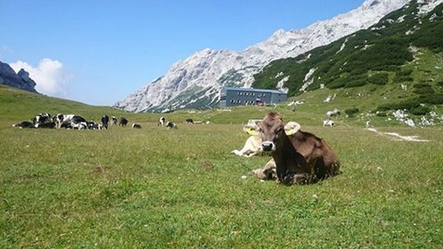 Lepota planin (foto: Rok Mihevc)