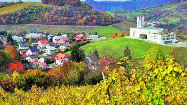 Košaki (foto: Družina)