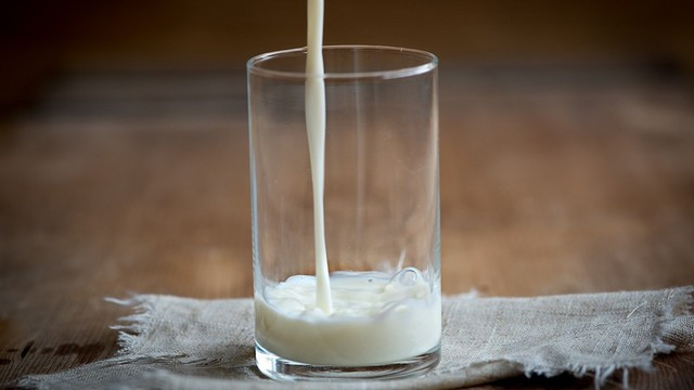 Kozarec mleka (foto: Pezibear)