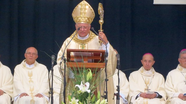 Škof Andrej Glavan ob 10. obletnici novomeške škofije. (foto: ARO)