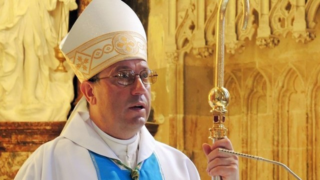 Nadškof Alojzij Cvikl (foto: p. Ivan Rampre)