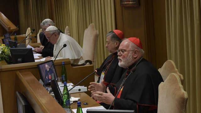 Nagovor kardinala Reinharda Marxa (foto: Vatican News)