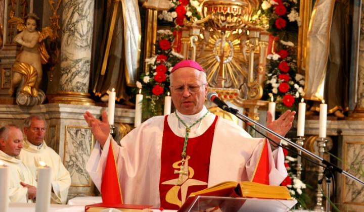 Škof Andrej Glavan (foto: Andrej Goličnik, Škofija Novo mesto)