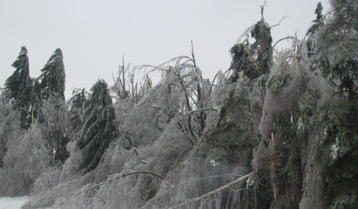 Žledolom (foto: Izidor Šček)