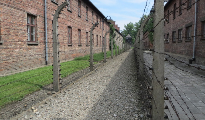 Taborišče Auschwitz (foto: ARO)