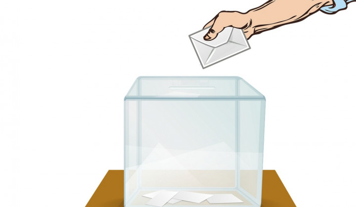 Volitve, volilna skrinjica (foto: Pixabay)