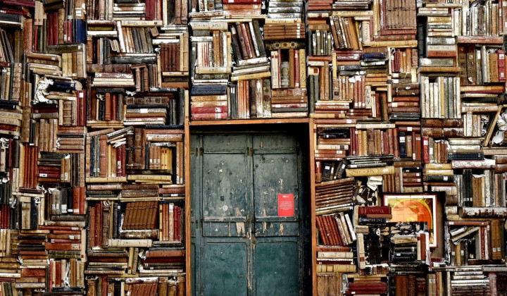 Knjige (foto: Pixabay)