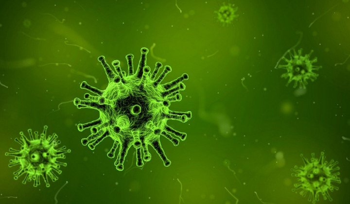 Kaj so virusi? Na spletnih straneh Hiše eksperimentov si lahko ogledate zadnje predavanje dr. Mojce Rajter  (foto: pixabay)