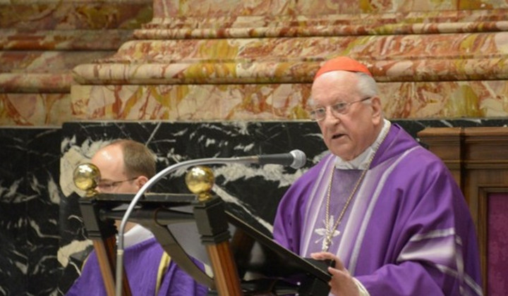 Kardinal Franc Rode (foto: ARO)