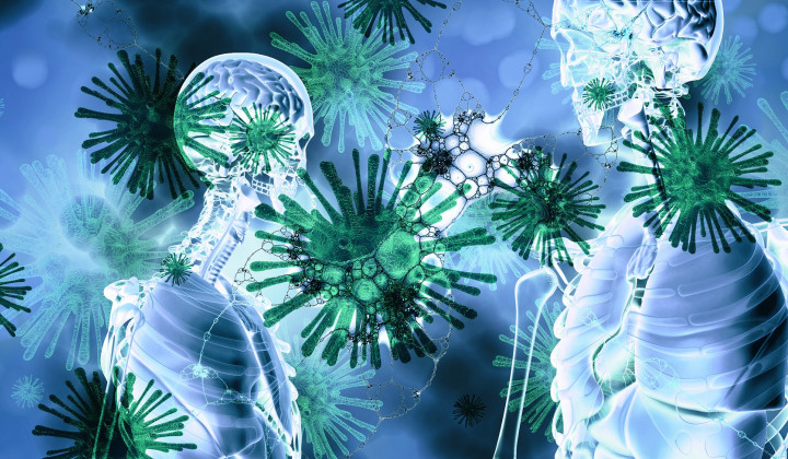 Koronavirus (foto: Pixabay)
