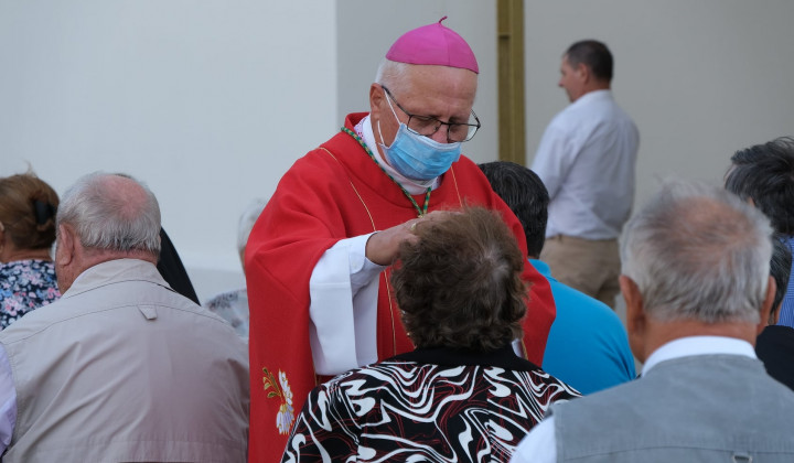 Škof Andrej Glavan (foto: Vatican News)