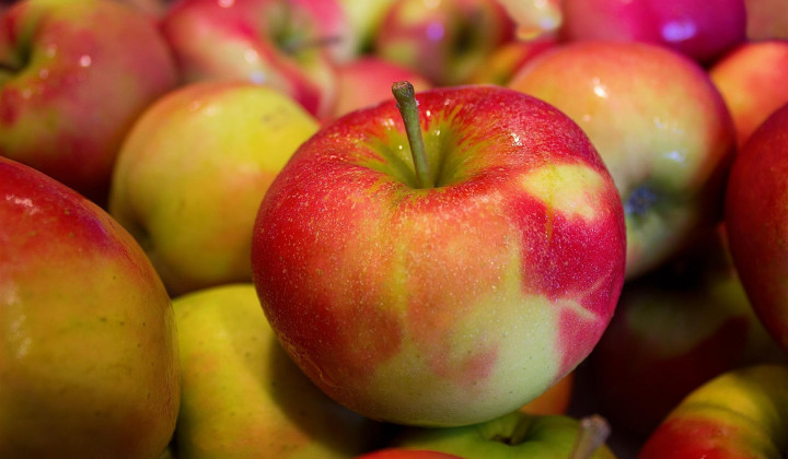 Jabolka so zelo zdrav sadež. (foto: Marco Roosink / Pixabay)