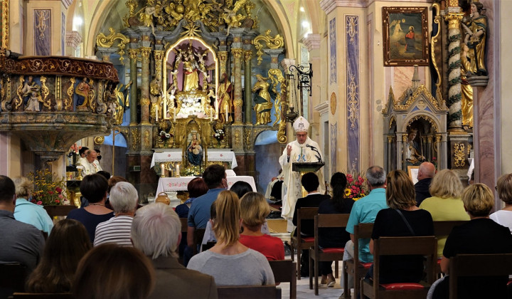 Molitev na Humcu; nadškof Alojzij Cvikl (foto: Vatican News)
