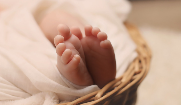 Novorojeni (foto: Esudroff / Pixabay)