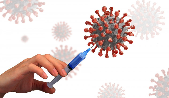 Strokovnjaka o cepivih proti novemu koronavirusu,; cepivo, koronavirus (foto: Pixabay)