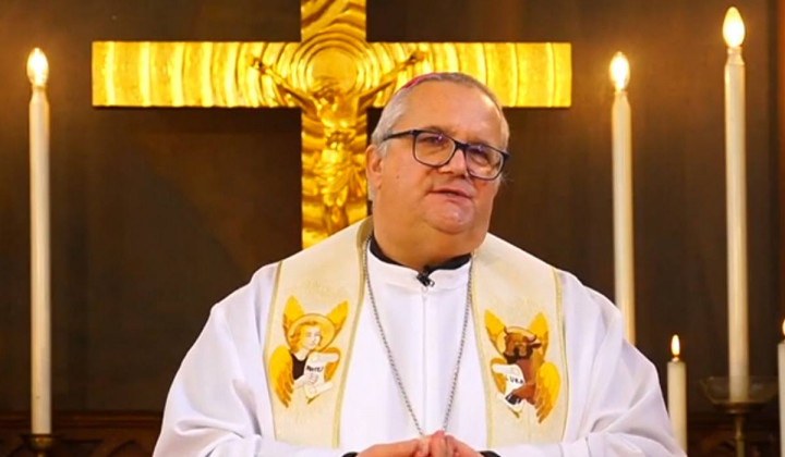 Škof Peter Štumpf (foto: Posnetek zaslona)