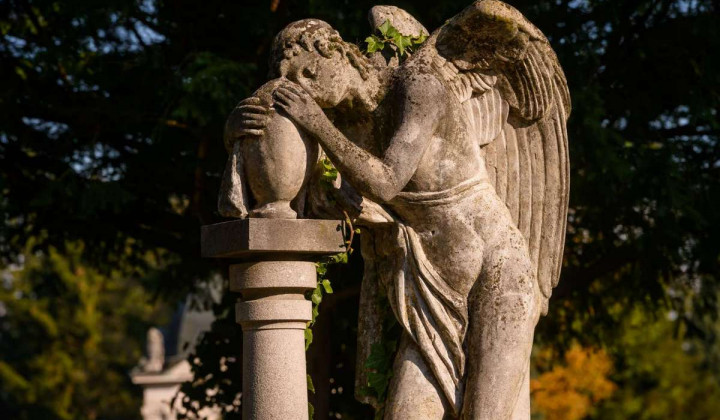 Kip angela na ljubljanskih Žalah (foto: STA)