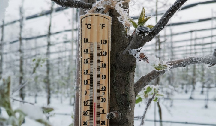 Temperature so se spustile pod nič (foto: Franc Bogovič)