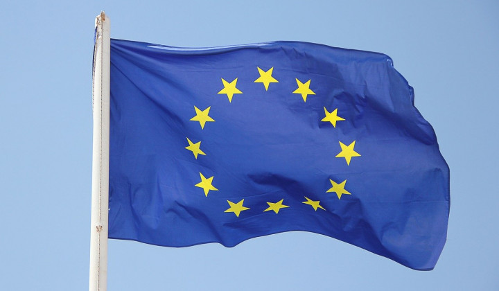Evropska zastava (foto: Pixabay)