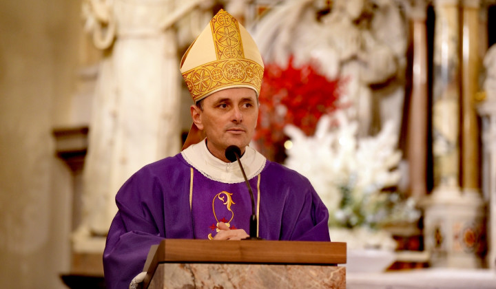 Škof Andrej Saje (foto: Rok Mihevc)