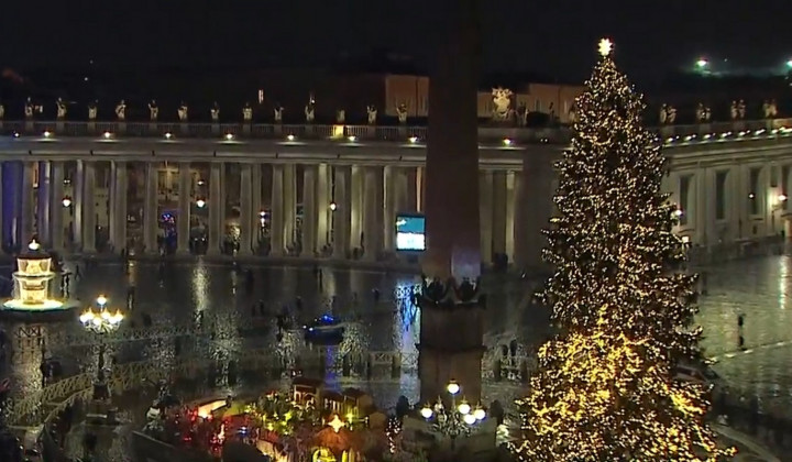 Božično drevo in jaslice v Vatikanu (foto: Posnetek zaslona)