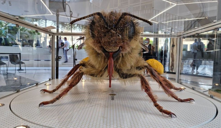 Pridna delavka Kranjska čebela (foto: Boštjan Noč)