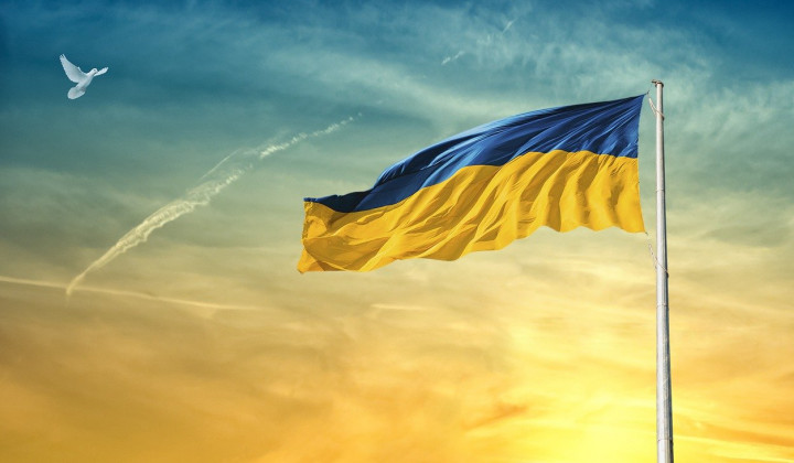 Ukrajinska zastava (foto: Pixabay)