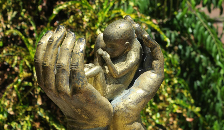 Zaščita otroka v maternici (foto: Pixabay)
