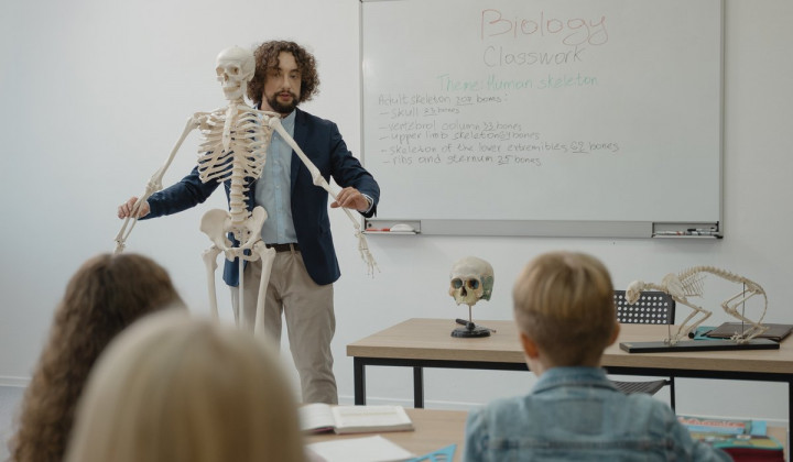 Učitelj pri pouku (foto: Pexels)