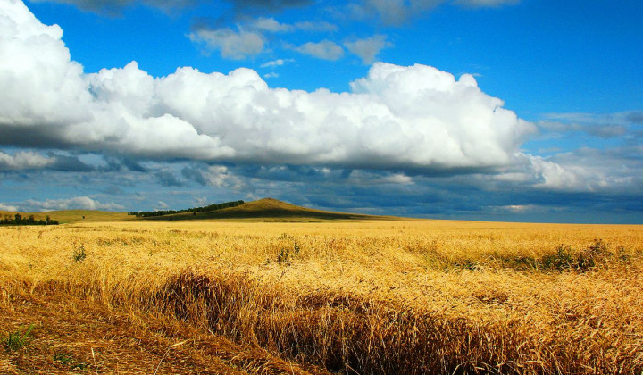 Prostrana polja v Kazahstanu, ki je 9. država na svetu po velikosti (foto: Wikipedia)