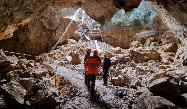 Morišče Macesnova Gorica med izkopavanjem posmrtnih ostankov žrtev povojnih pobojev (foto: Škofija Novo mesto)