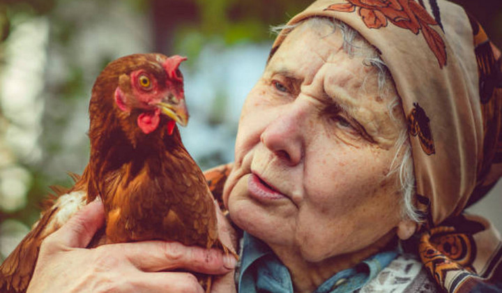 Starejša gospa na kmetiji (foto: ArtMarie)