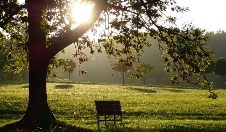 Na jesen lahko razmislimo, je kaj v nas, kar bi lahko ravno tako leglo k počitku? (foto: PixaBay)