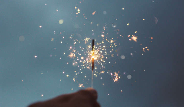 Alenka Rebula: 'Toplino je treba nujno negovati pozimi, da nam je tudi mraz blagodejen. Mraz te stisne in porine v zavetje notranje topline, v korenine, ker tam se poraja življenje za pomlad.' (foto: Cristian Escobar / Unsplash)