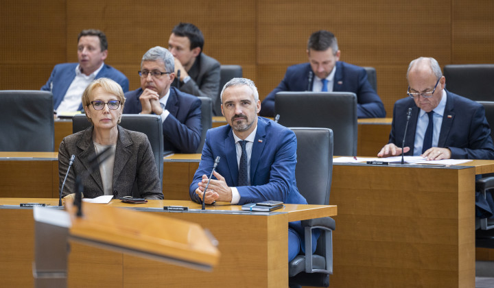 Državni zbor, poslanci Nsi (foto: Bor Slana/STA)