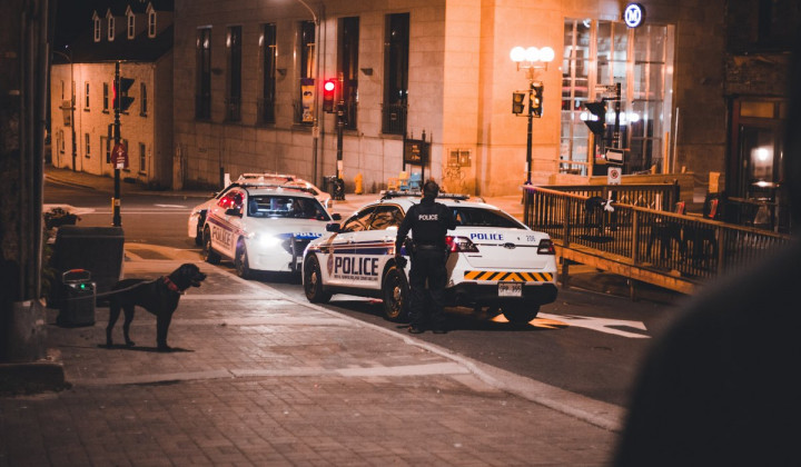 Policija (foto: pexels / Eric Mclean)