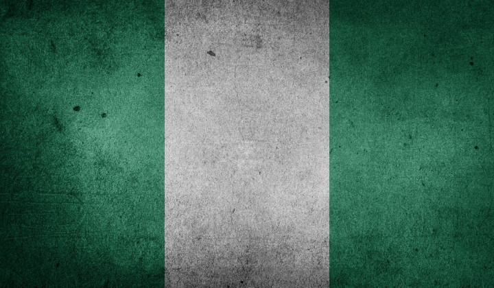 Nigerijska zastava (foto: pixabay)