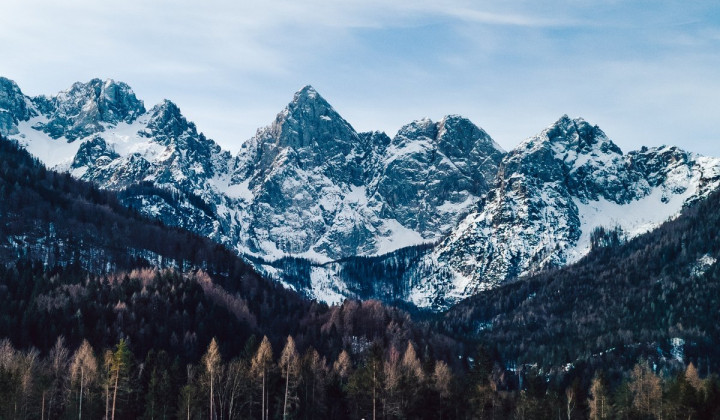 Slovenske gore (foto: pexels)