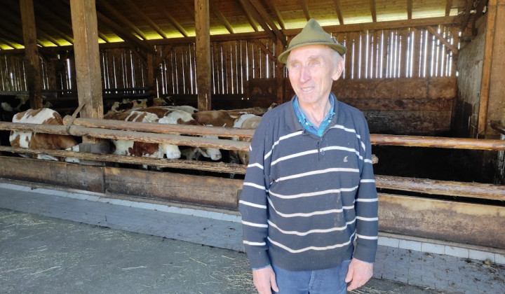 Anton Uršič v hlevu ob svojih kravah. Vsaka ima ime in o vsaki ve povedati zanimivo zgodbo. (foto: Robert Božič)