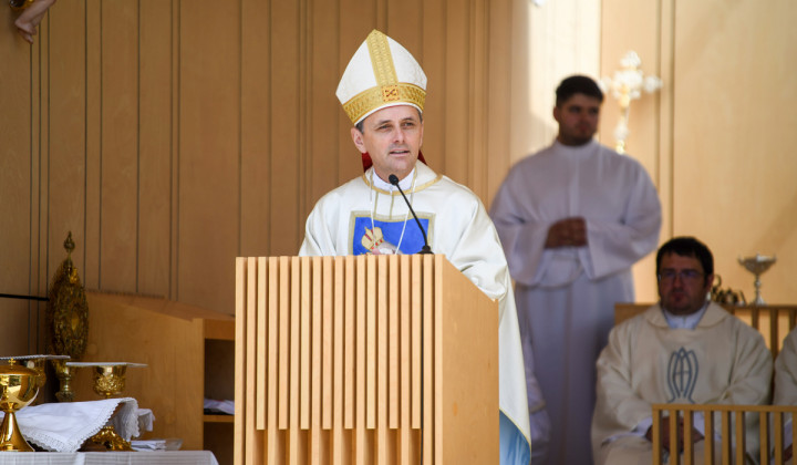 Škof Andrej Saje na Brezjah (foto: Rok Mihevc)