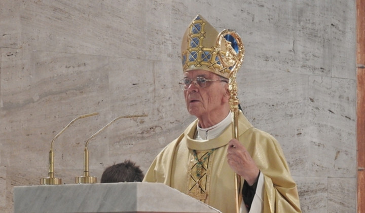 Škof Stanislav Lipovšek (foto: ARO)