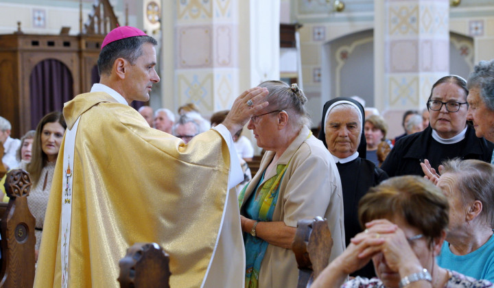 Škof Andrej Saje podeljuje bolniško maziljenje (foto: Jože Potrpin)