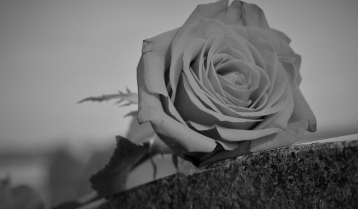 Vrtnica na grobu (foto: Pixabay)