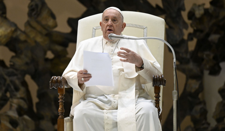 Papež med današnjo avdienco (foto: Vatican News)