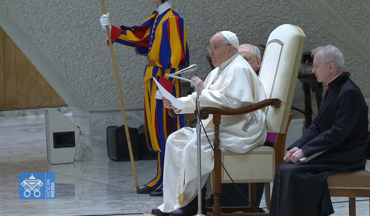 Papež pri današnji avdienci (foto: posnetek zaslona)
