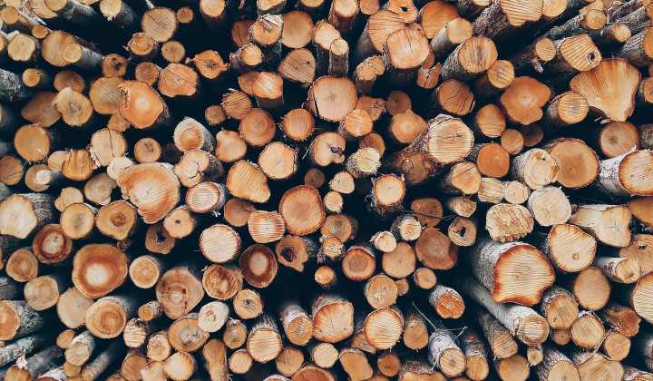Drva so najbolj naraven energent. (foto: Pexels)