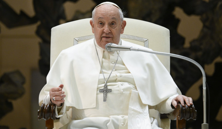 Papež med današnjo katehezo (foto: Vatican media)