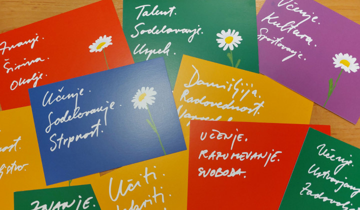 Razglednice s spodbudami za učenje vseh, vse dni in vse življenje  (foto: NL)